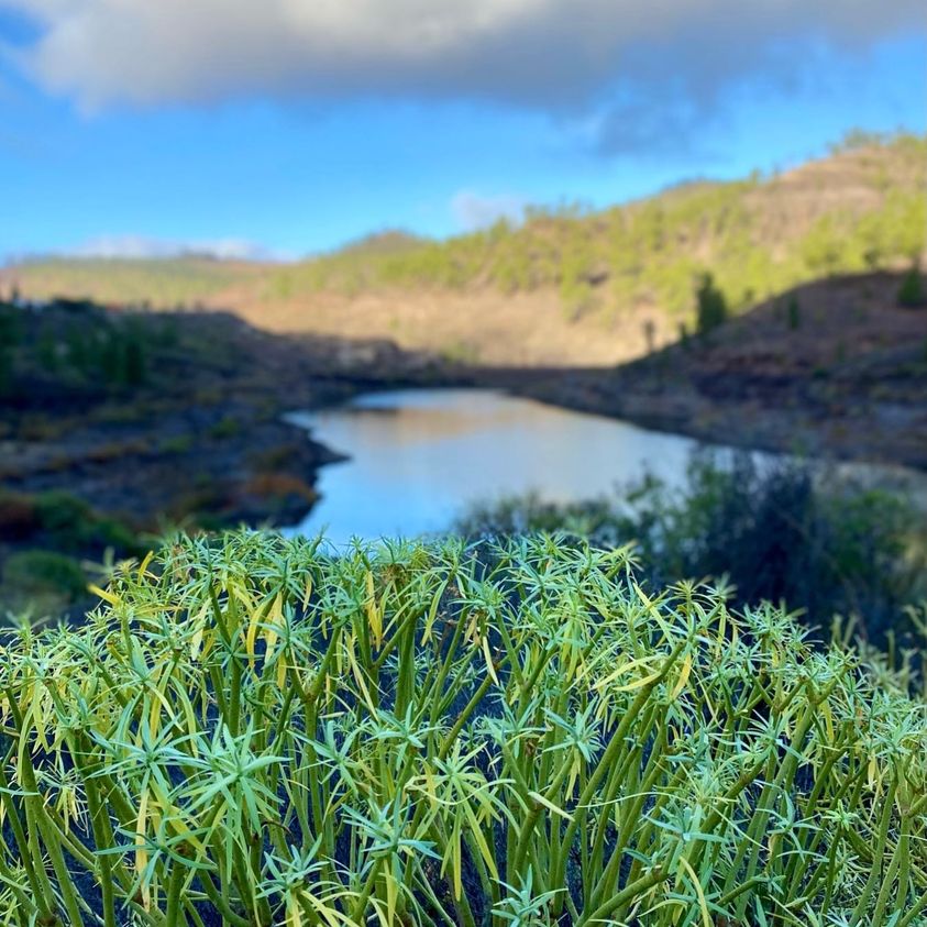 La Palma Ocean- Handgewebter Armschmuck in tollen frischen Farben. Komfortabel zu tragen und sehr bequem am Handgelenk. Ein leichtes Schmuckstück für gute Sommer Laune. Bestickt mit wunderschönen Rocailles- Perlen.