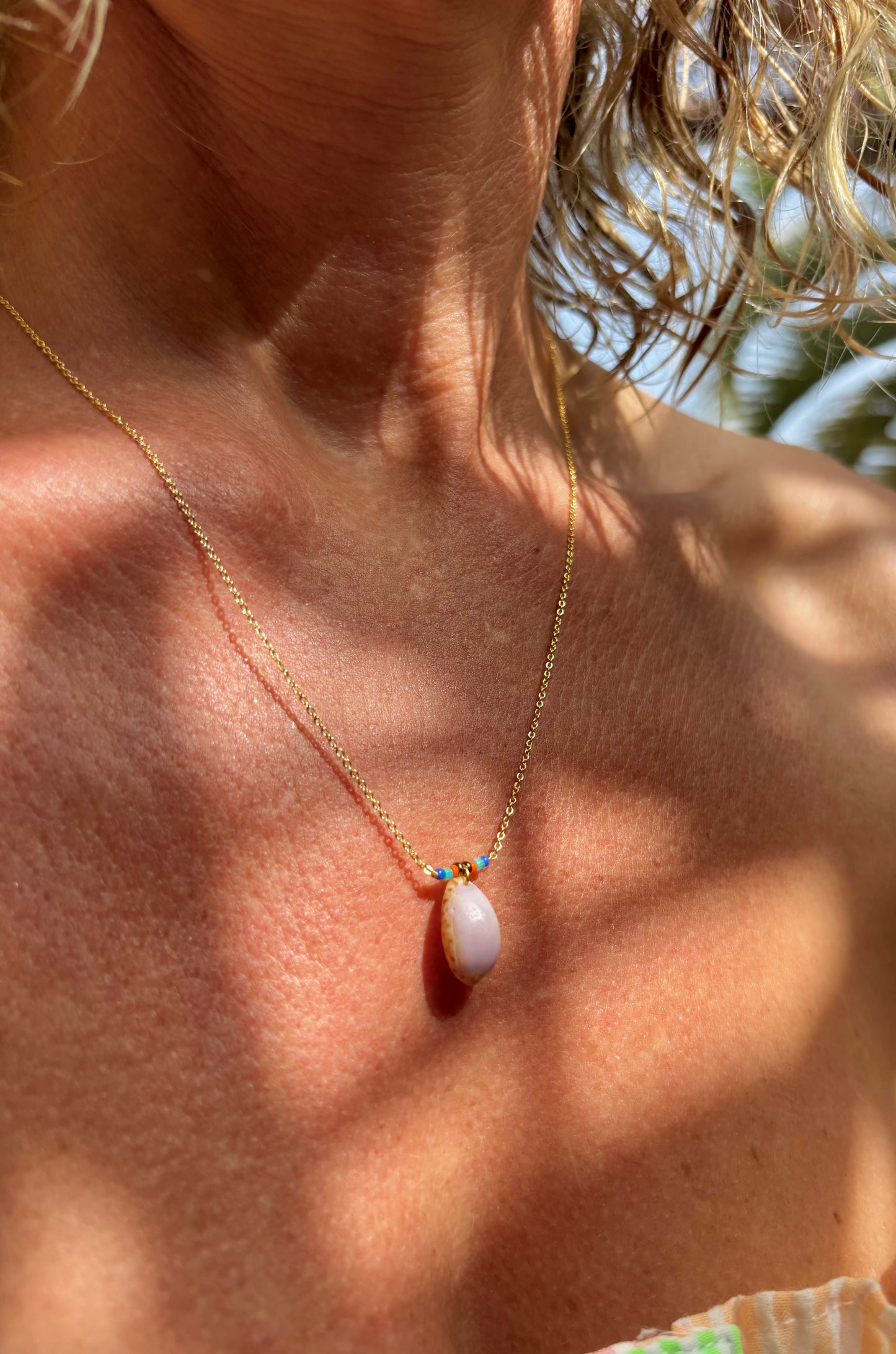 Atlantik Kauri Muschel als filigraner Halsschmuck.