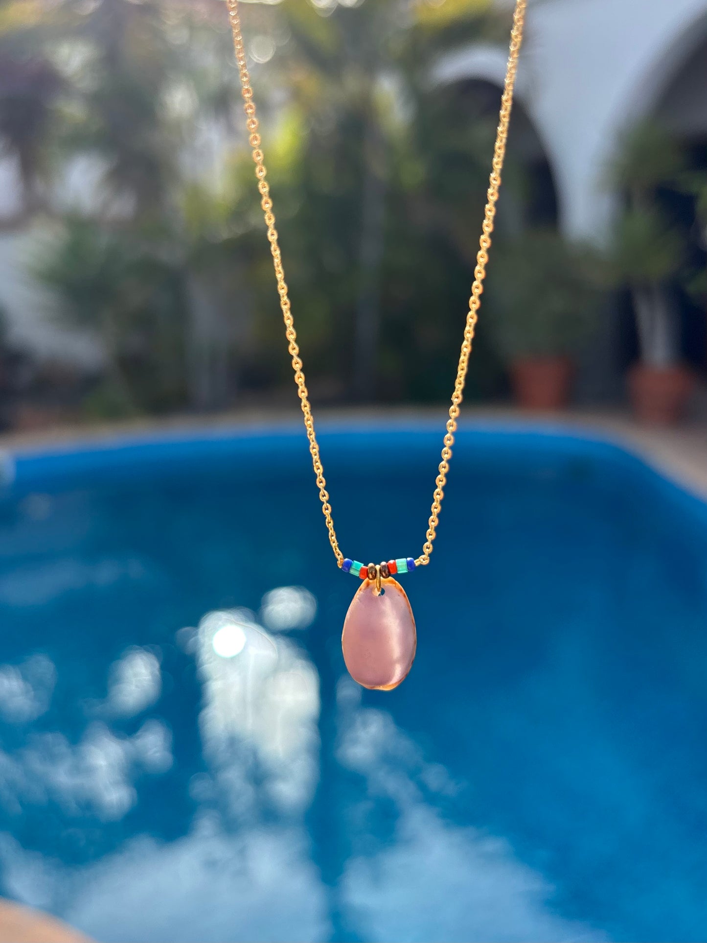 Atlantik Kauri Muschel als filigraner Halsschmuck.