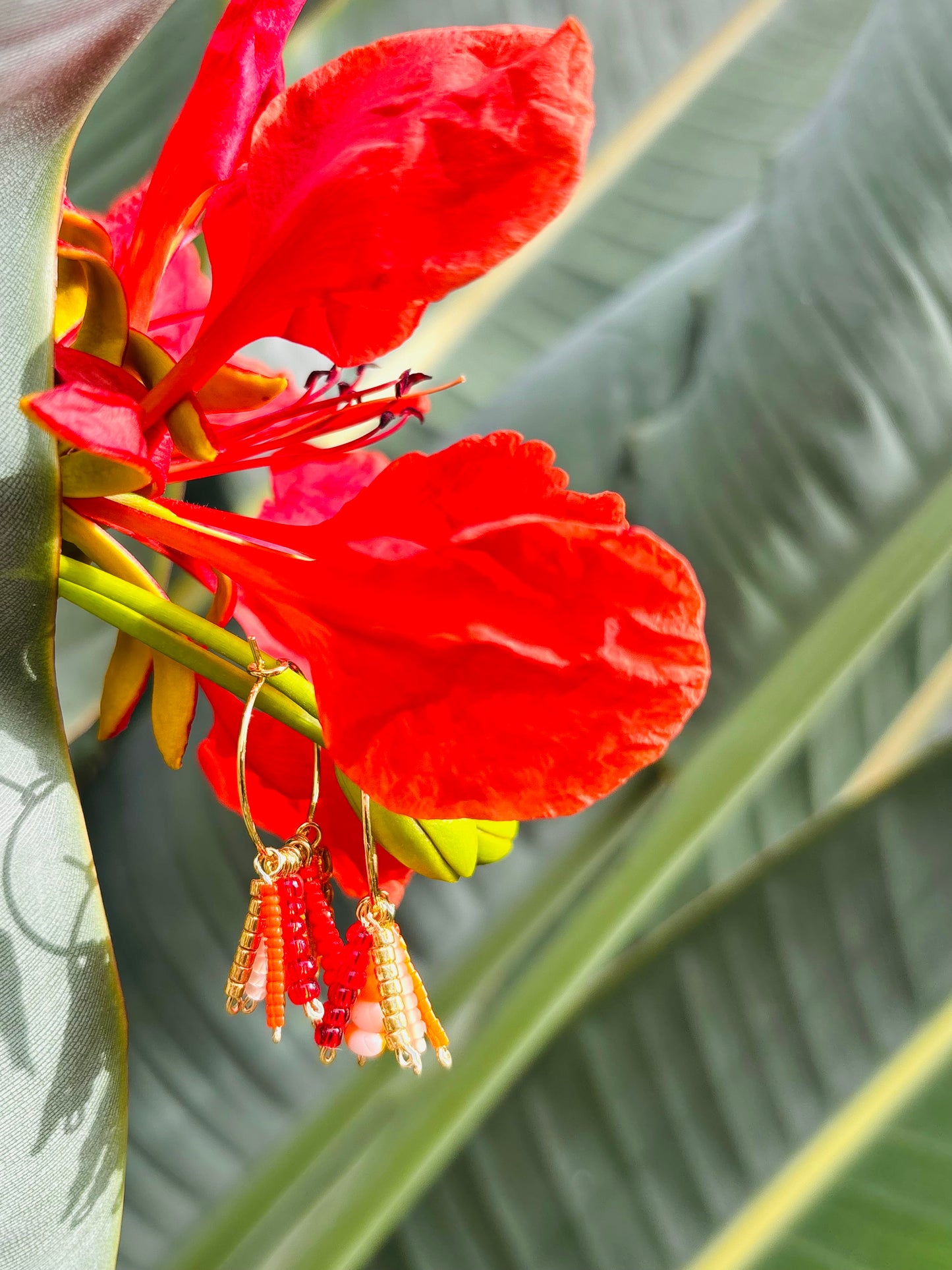 Red Blossom Hula Hoops: Wunderschöne rote Rocailles Perlen und allergiefreier vergoldeter Edelstahl in leuchtend roten Ohrschmuck verzaubert.