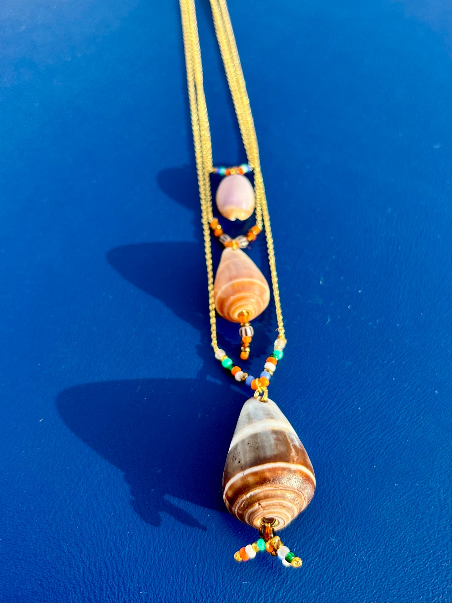 Atlantik Kauri Muschel als filigraner Halsschmuck.