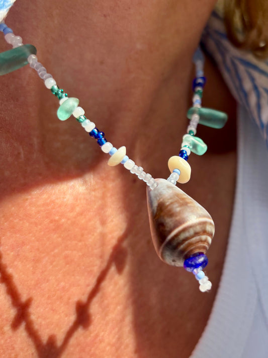 Blue Atlantic Shell