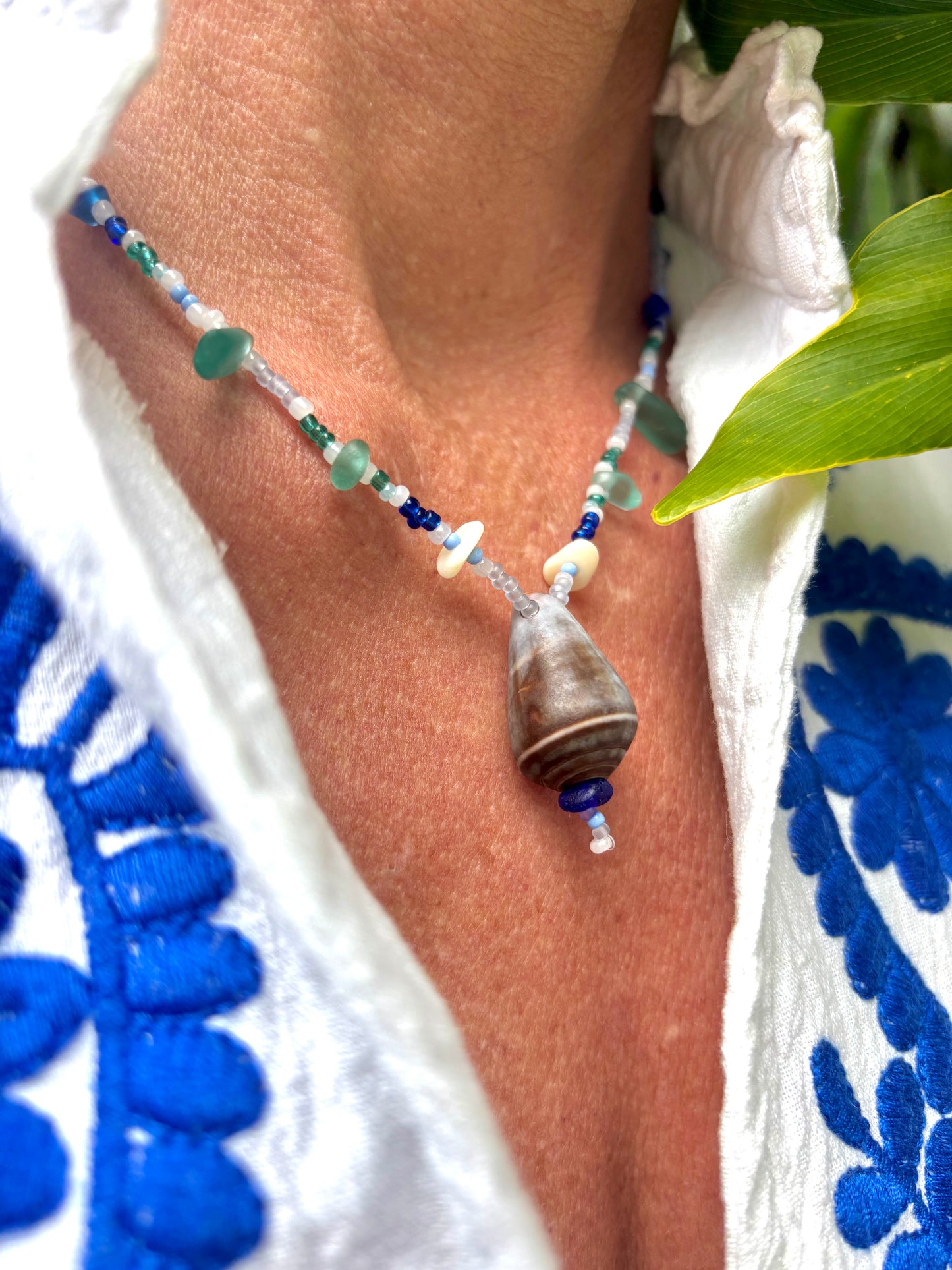Blue Atlantic Shell